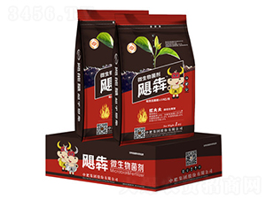 ΢�������-�Z��-�з�