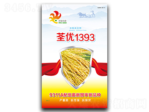 ����(y��u)1393-ˮ���N��-���y��¡