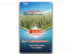 ����(y��u)801-ˮ���N��-���y��¡