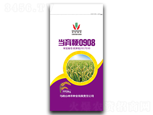 ��(d��ng)����0908-ˮ���N��-���r(n��ng)�N�I(y��)