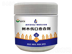 ��ľ�������τ�-�ִ��-����