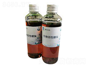 ���������֬-�|������