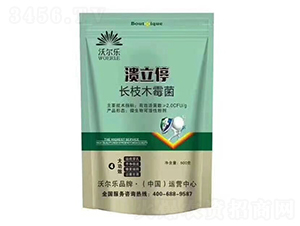 �L֦ľù��-����ͣ-�֠���