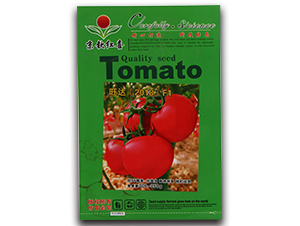 ���t���N��-���_2018F1-�M��t��