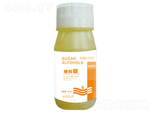 �Ǵ���-�~����