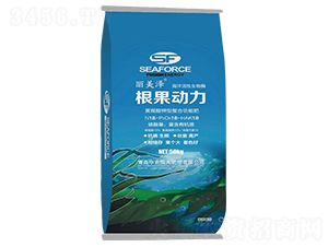 根果動力（藍色包裝）-麗美澤-中農(nóng)恒大