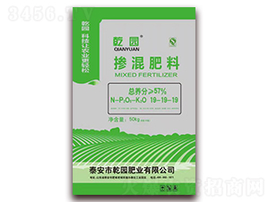 �������19-19-19-Ǭ�@