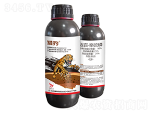 50%���١�����������-�C��-�����r�I(y��)