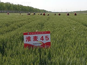 ����45-С���N��-�r(n��ng)�l(f��)�N�I(y��)