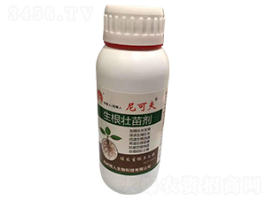 �������焩-��ɷ�-��ؼZ��