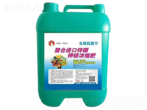 �����M(j��n)���\����V��sҺ-��ؼZ��