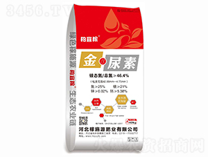 ����-���˼�-��ʩԴ