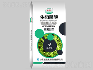 �������-ʢ�ی�-��ʢ���I(y��)