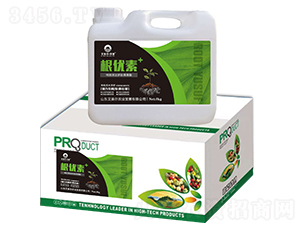 ����(y��u)��-�����������u(y��)-������