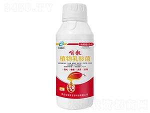 ֲ�������-�h�n-�|��Դ����