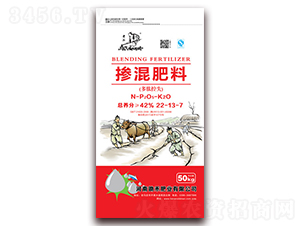 �������22-13-7-�����R-�z�̷ʘI(y��)