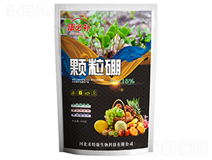 1000g�w����-�����a-���ؿ�