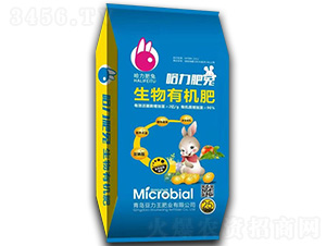 �����ЙC(j��)��-��������-������