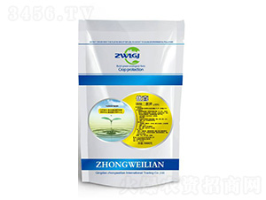 ��������-��(y��u)ϲ-��΢(li��n)