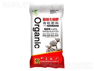 ������ЙC����-��̩