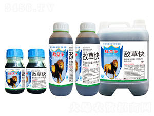 200��/�����ݿ�ˮ��-���݃�-����ţ