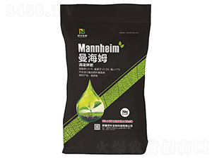 �ι�⛷�-����ķ-��ţ����