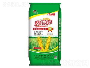 �S�����С����30-0-6-�����\-�d�l(f��)�ʘI(y��)