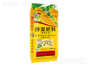 ����LЧ�������26-12-10-����-�d�l(f��)�ʘI(y��)