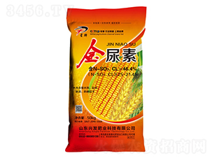 ������-����-�d�l(f��)�ʘI(y��)