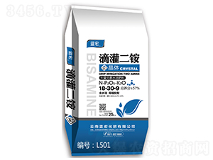 �S�����w���-�{��