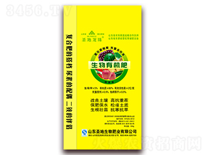 �����ЙC(j��)��-ʥ������