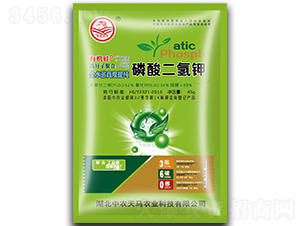 �������⛣�45g��-���r(n��ng)���R-�����r(n��ng)�I(y��)