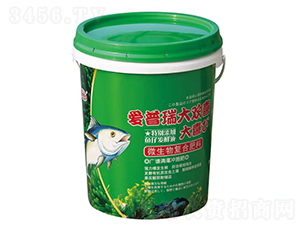 ΢�������-��ϲ�g-��(��i)����