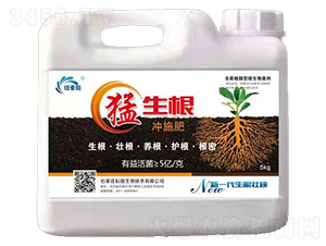 �������_ʩ��-�~����-��������