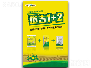 ����1+2-�Ǻ�����