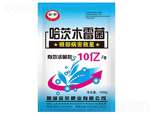 ����ľù��-����