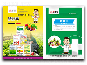 �����S�ײ�-������