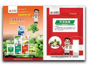 �۲��ײͽM��-������