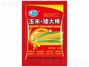 ���ס������-�V-ԥ���r�I(y��)