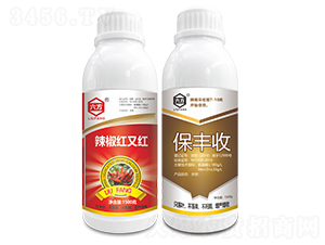 �����t�ּt+���S��-����-����