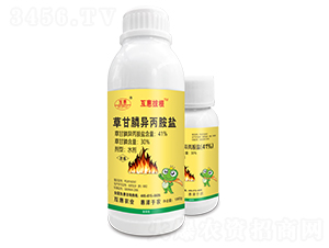 41%�ݸ�좮������}ˮ��-���ݰθ�-����