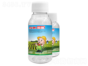 20%���ݿ�ˮ��-���݄��z