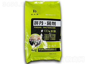 ƴ��������-������