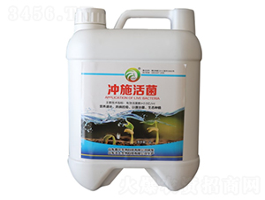 �_ʩ���-��������