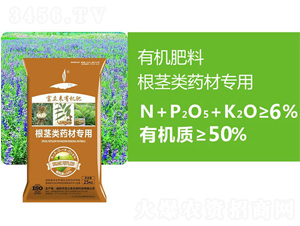 ���o�ˎ�Č����ЙC(j��)����-������(l��i)