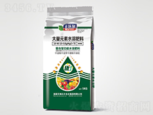 �����ʹ���Ԫ��ˮ�ܷ���-��ķ�֠�