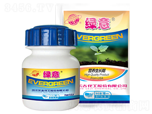 �I(y��ng)�B(y��ng)���L(zh��ng)�ڌ�(zhu��n)���~���-�G��-���