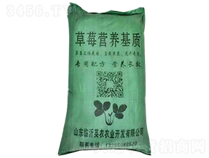 ��ݮ�I�B(y��ng)���|(zh��)-Ӣ�r(n��ng)�r(n��ng)�I(y��)