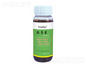 ����(d��o)�ر�������-���R