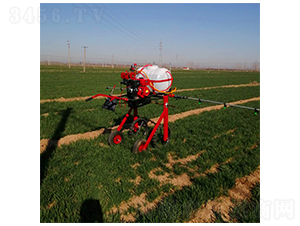 �ַ�����ʽ��ˎ�C(j��)(2)-����C(j��)е